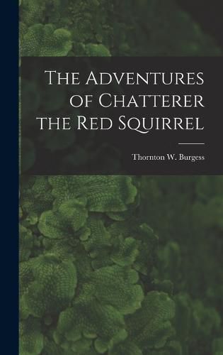 Cover image for The Adventures of Chatterer the Red Squirrel