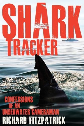 Shark Tracker: Confessions of an underwater cameraman