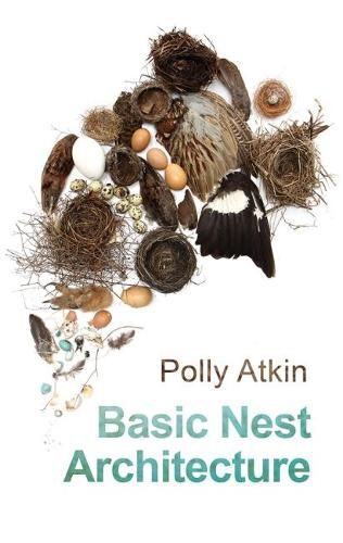 Basic Nest Architecture