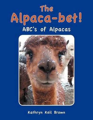 Cover image for The Alpaca-Bet!: ABC's of Alpacas