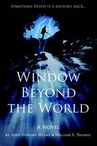 Cover image for Window Beyond the World