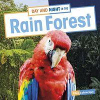 Cover image for Day and Night in the Rain Forest