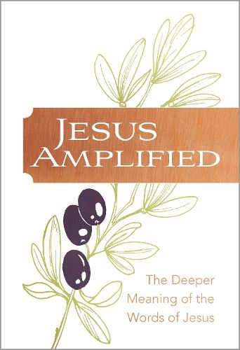 Cover image for Jesus Amplified