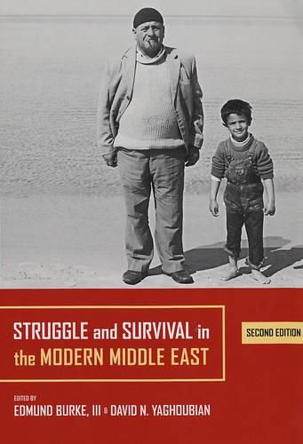 Cover image for Struggle and Survival in the Modern Middle East