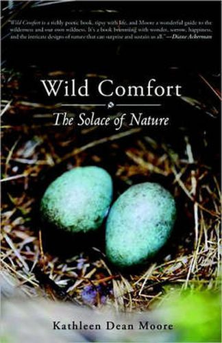 Cover image for Wild Comfort: The Solace of Nature