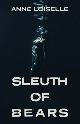 Cover image for Sleuth of Bears