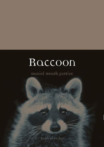 Cover image for Raccoon