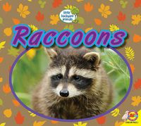 Cover image for Raccoons