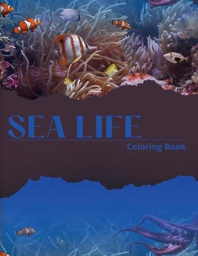 Cover image for Sea Life Coloring Book