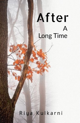 Cover image for After A Long Time