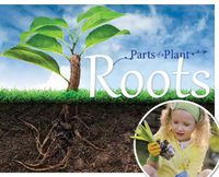 Cover image for Roots