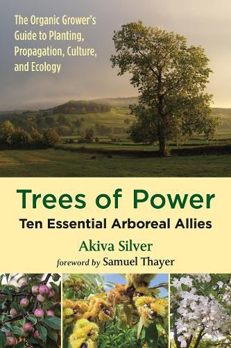 Cover image for Trees of Power: Ten Essential Arboreal Allies