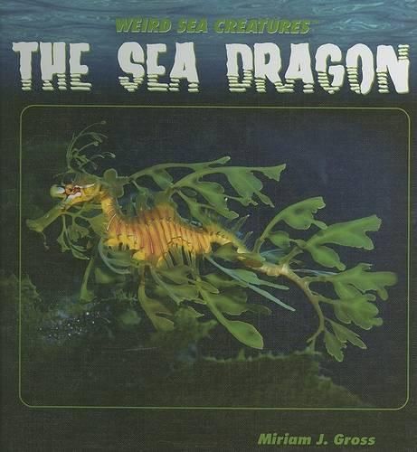 Cover image for The Sea Dragon