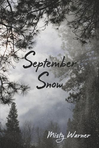 Cover image for September Snow