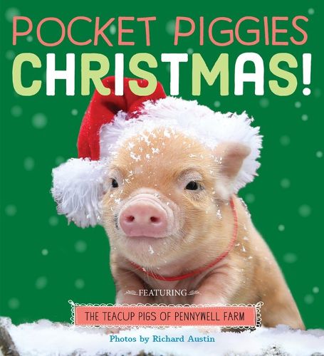 Cover image for Pocket Piggies: Christmas!