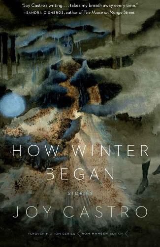 Cover image for How Winter Began: Stories