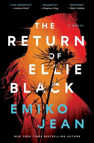 Cover image for The Return of Ellie Black