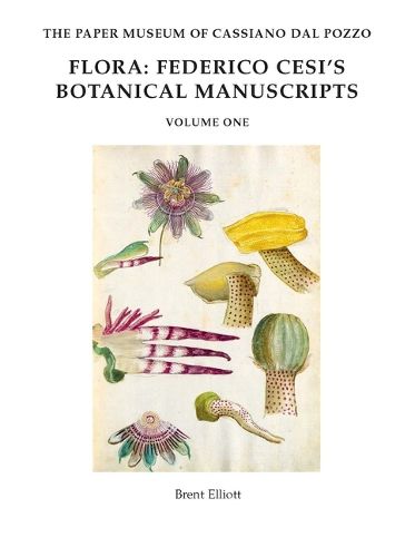 Cover image for Flora: Federico Cesi's Botanical Manuscripts