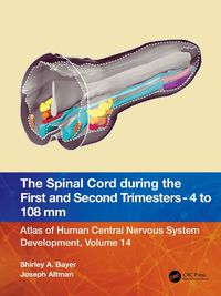 Cover image for The Spinal Cord during the First and Early Second Trimesters 4- to 108-mm Crown-Rump Lengths