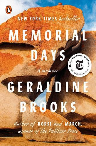 Cover image for Memorial Days