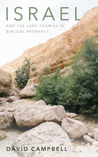 Cover image for Israel and the Land Promise in Biblical Prophecy