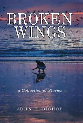 Cover image for Broken Wings: A Collection of Stories