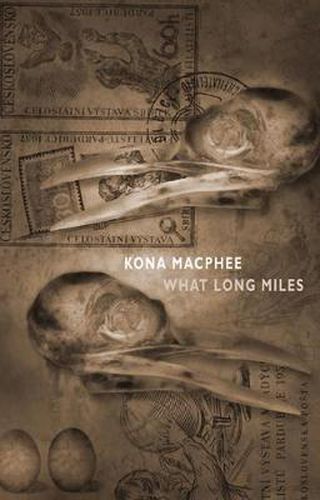 Cover image for What Long Miles