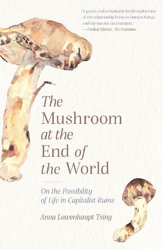 The Mushroom at the End of the World: On the Possibility of Life in Capitalist Ruins