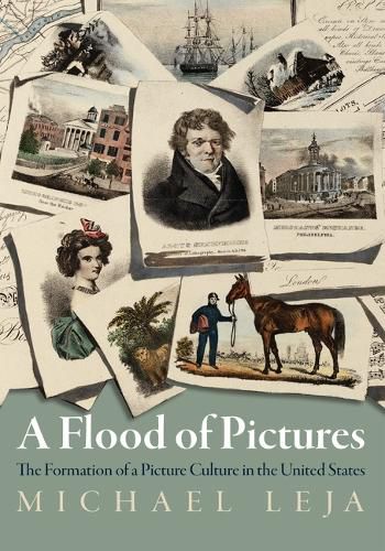 Cover image for A Flood of Pictures