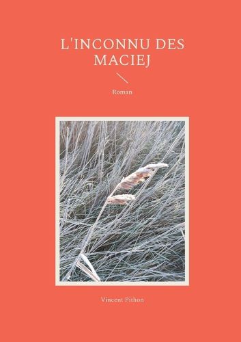 Cover image for L'inconnu des Maciej