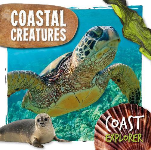 Cover image for Coastal Creatures