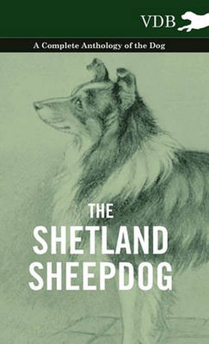 Cover image for The Shetland Sheepdog - A Complete Anthology of the Dog