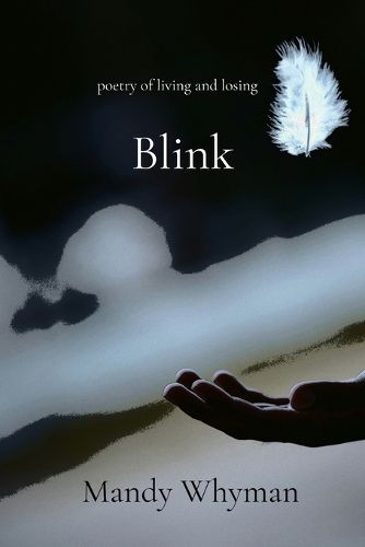 Cover image for Blink