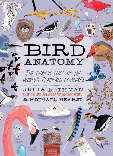 Cover image for Bird Anatomy
