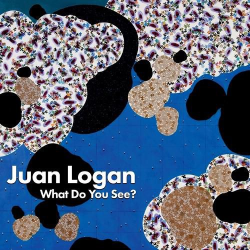 Cover image for Juan Logan; What Do You See?