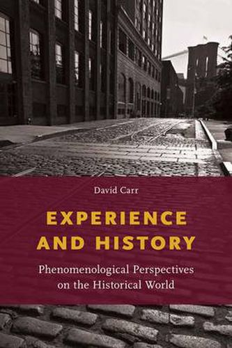 Cover image for Experience and History: Phenomenological Perspectives on the Historical World