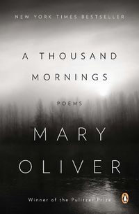 Cover image for A Thousand Mornings