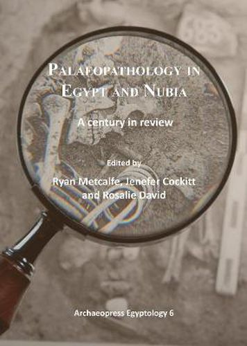 Cover image for Palaeopathology in Egypt and Nubia: A century in review