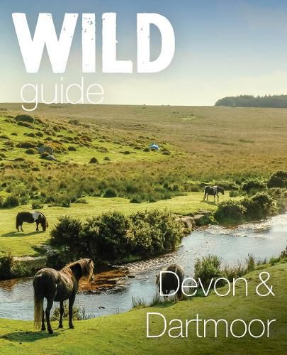 Cover image for Wild Guide Devon & Dartmoor
