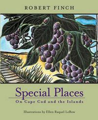 Cover image for Special Places on Cape Cod and the Islands