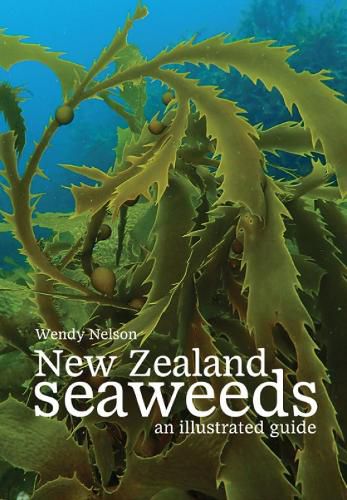 Cover image for New Zealand Seaweeds: An Illustrated Guide