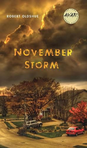 Cover image for November Storm