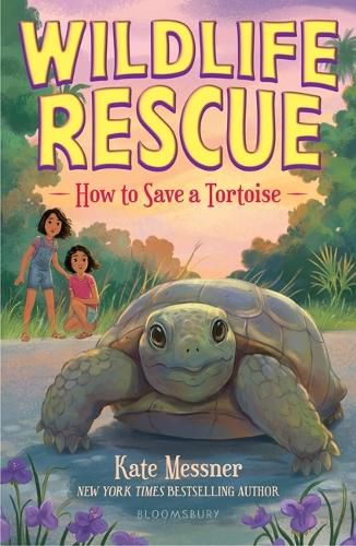 Cover image for How to Save a Tortoise
