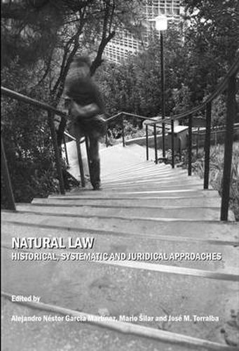 Cover image for Natural Law: Historical, Systematic and Juridical Approaches