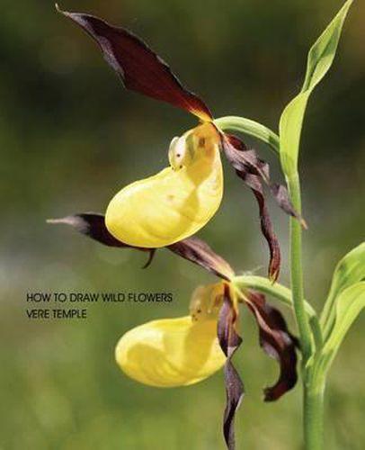 Cover image for How to Draw Wild Flowers (Replica Edition)