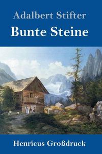 Cover image for Bunte Steine (Grossdruck)