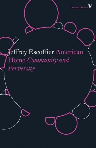 Cover image for American Homo: Community and Perversity