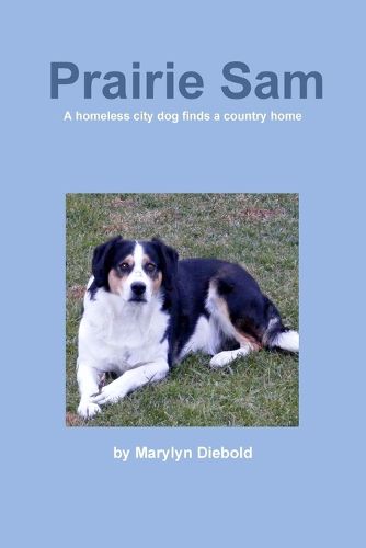 Cover image for Prairie Sam