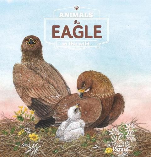 Cover image for Eagle. Animals in the Wild