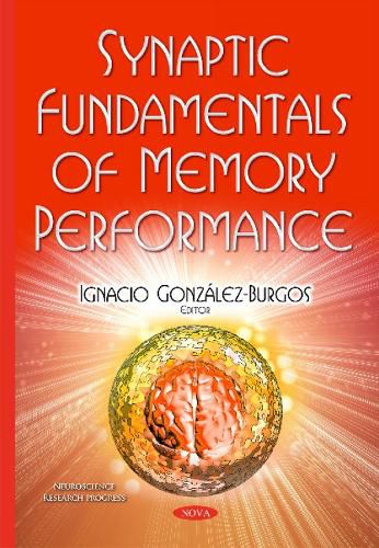 Cover image for Synaptic Fundamentals of Memory Performance